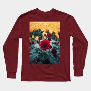 crimson chrysanthemum Long Sleeve T-Shirt